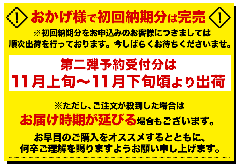 品質は非常に良い 今だけ1111円⇒999円 みかん 訳あり 送料無料 送料無 1.5kg 熊本みかん 熊本 熊本産 果物 旬 フルーツ 規格外  家庭用 柑橘 11月上旬-11月下旬頃より発送予定 www.hotelpr.co.uk