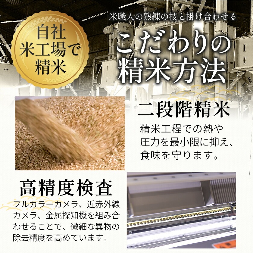 米 お米 5kg 令和7年産 熊本県産 銘柄米 選べる 白米 送料無料 ひの