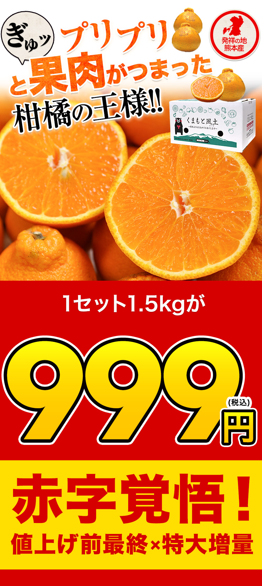 訳あり デコみかん デコポン と同品種 送料無料 家庭用 不知火 みかん