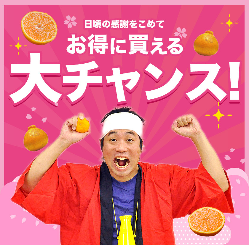訳あり デコみかん デコポン と同品種 送料無料 家庭用 不知火 みかん