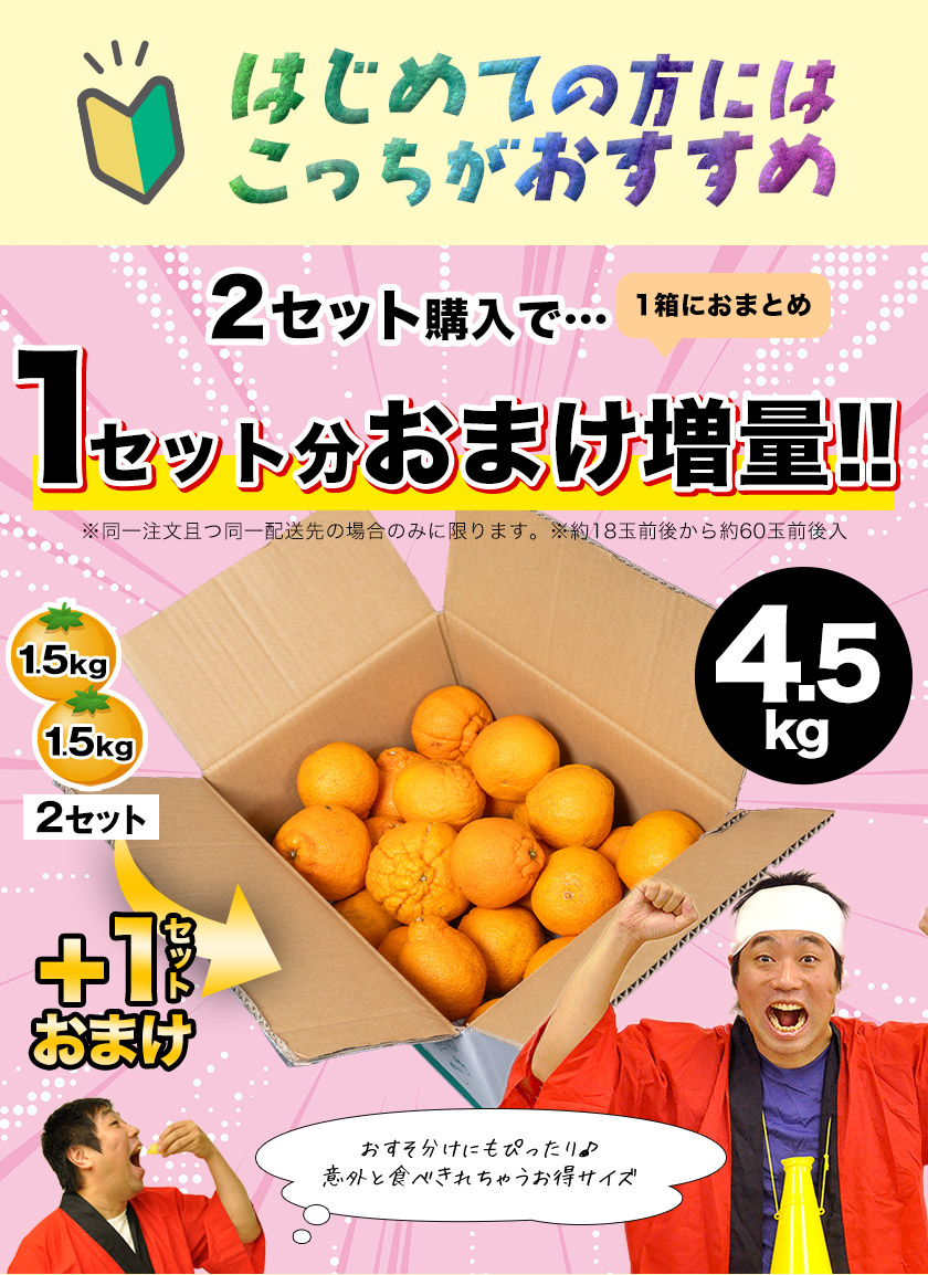訳あり デコみかん デコポン と同品種 送料無料 家庭用 不知火 みかん