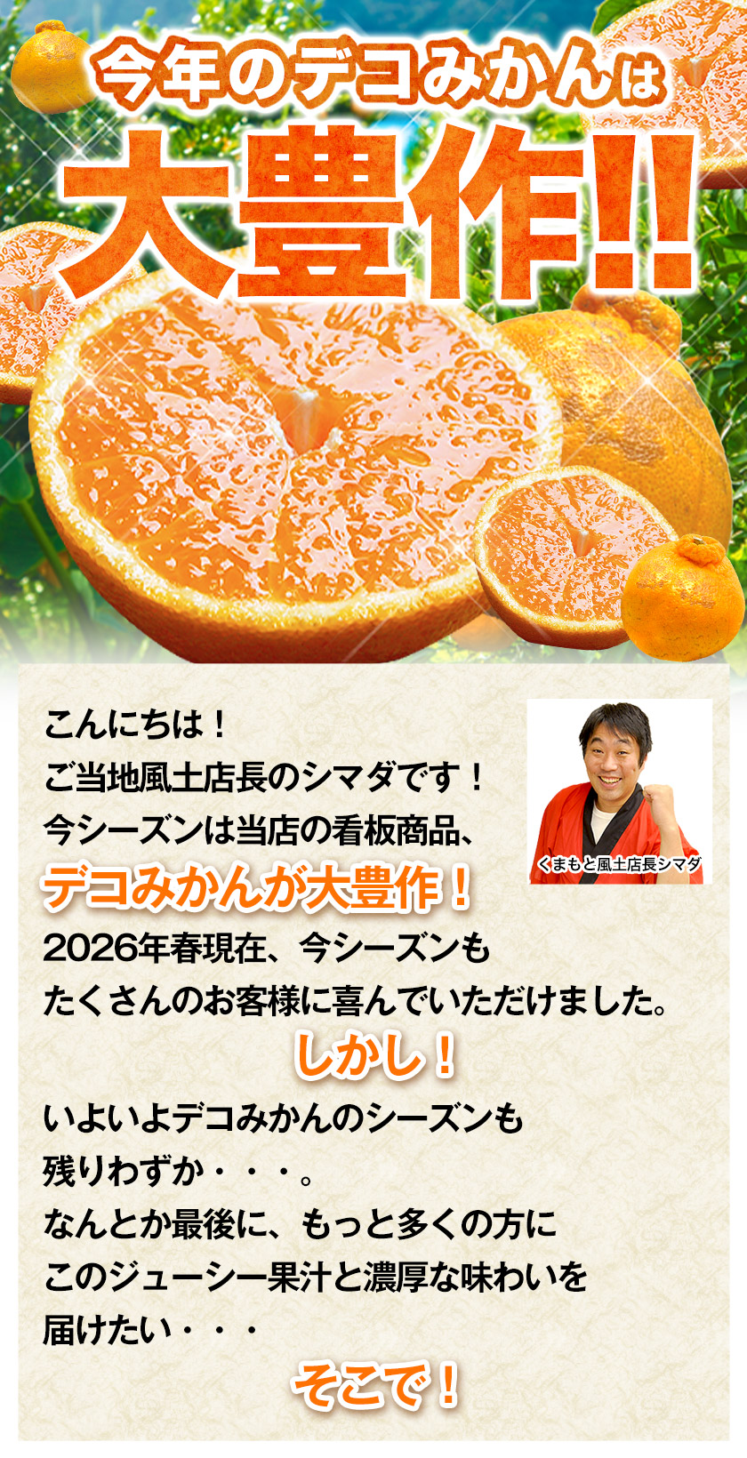 訳あり デコみかん デコポン と同品種 送料無料 家庭用 不知火 みかん