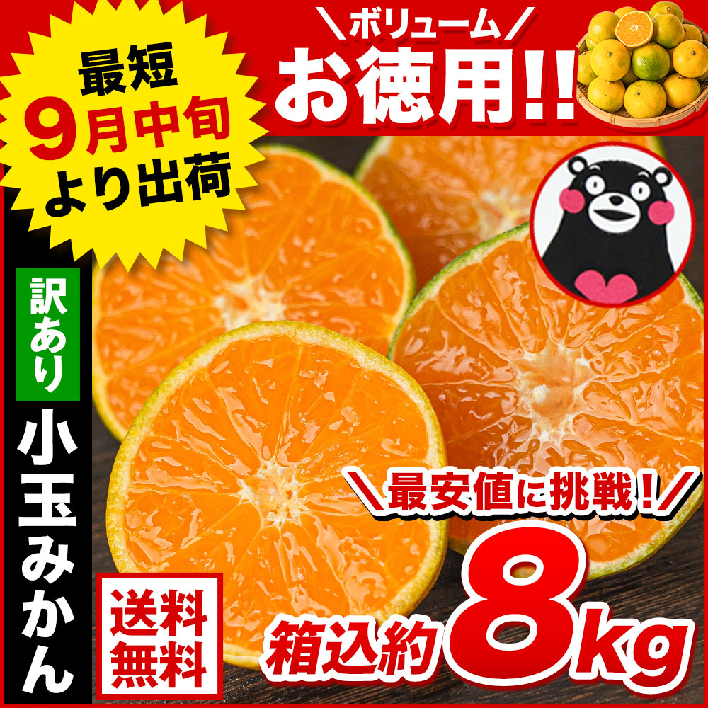 大容量8kg 小玉 みかん 送料無料 訳あり 小粒 箱込8kg 熊本 極早生