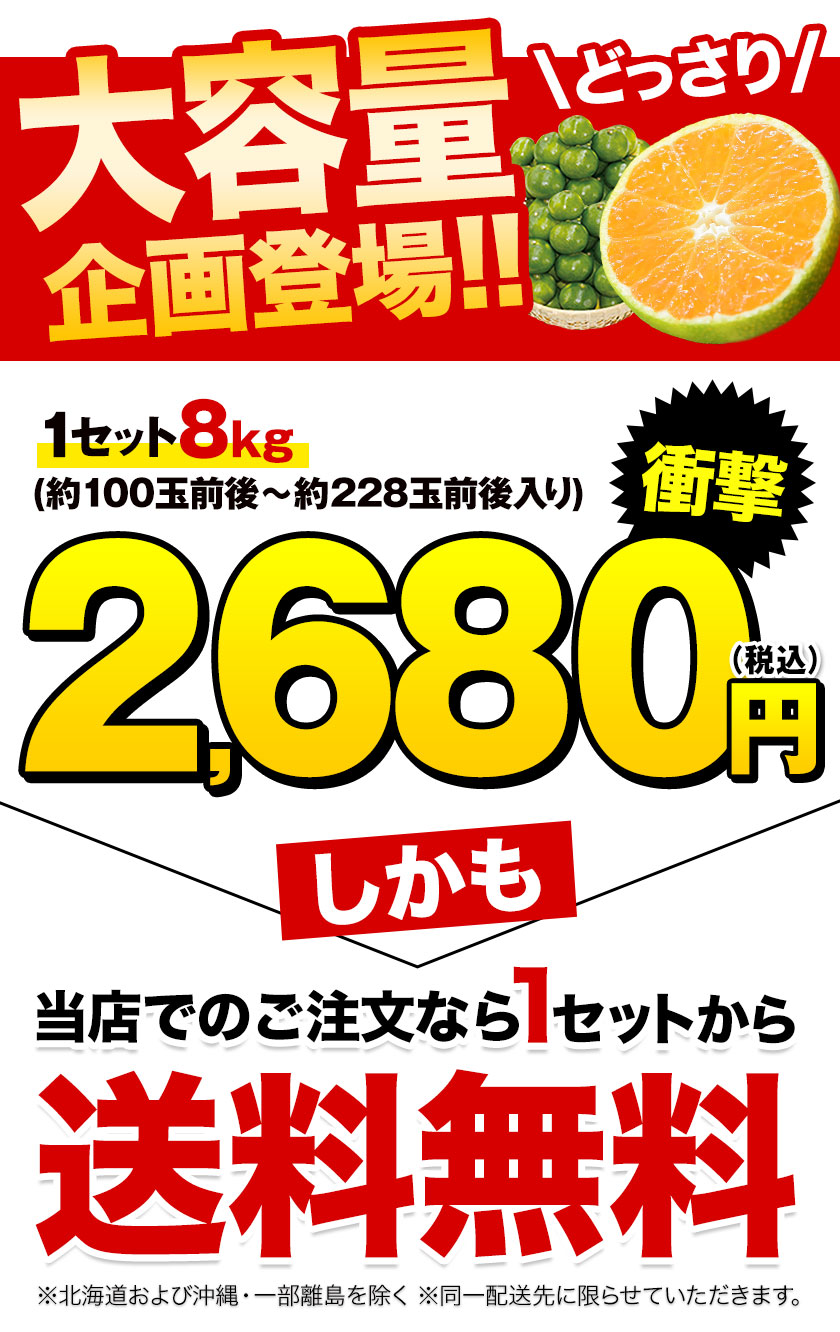 大容量8kg 小玉 みかん 送料無料 訳あり 小粒 箱込8kg 熊本 極早生