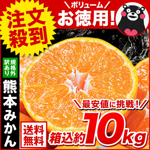 熊本みかん 訳あり 約 10kg 箱込み 熊本県産 送料無料 大玉 小玉