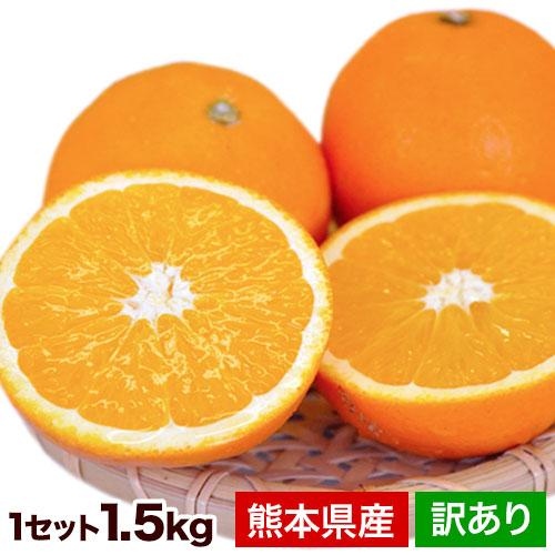 セール 1280円 ネーブル オレンジ 送料無料 1.5kg 訳あり 国産 熊本県