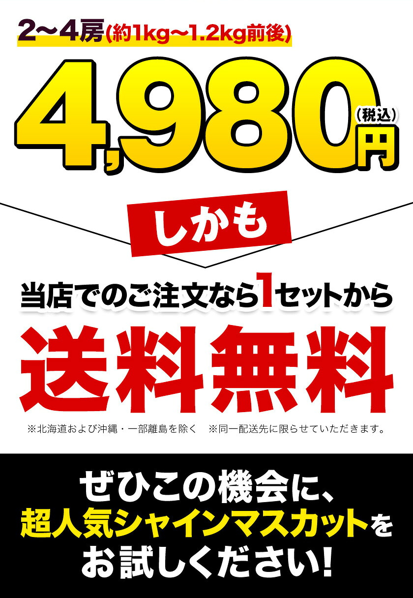シャインマスカット 1kg-1.2kg前後 フ...の詳細画像2