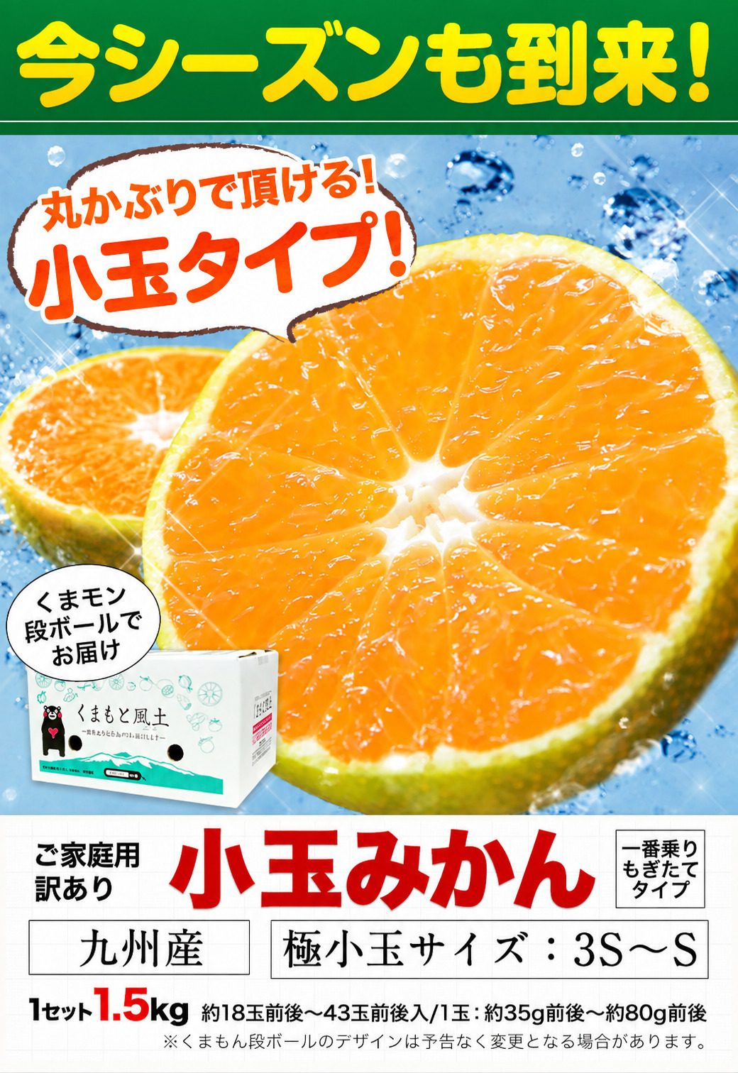 2セット以上でおまけ増量 小玉 みかん 送料無料 訳あり 小粒 1.5kg