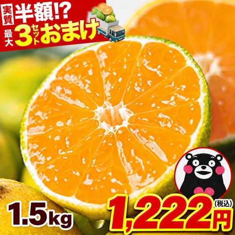 訳あり みかん 熊本みかん 1.5kg 熊本県産 送料無料 ミカン 大玉 小玉