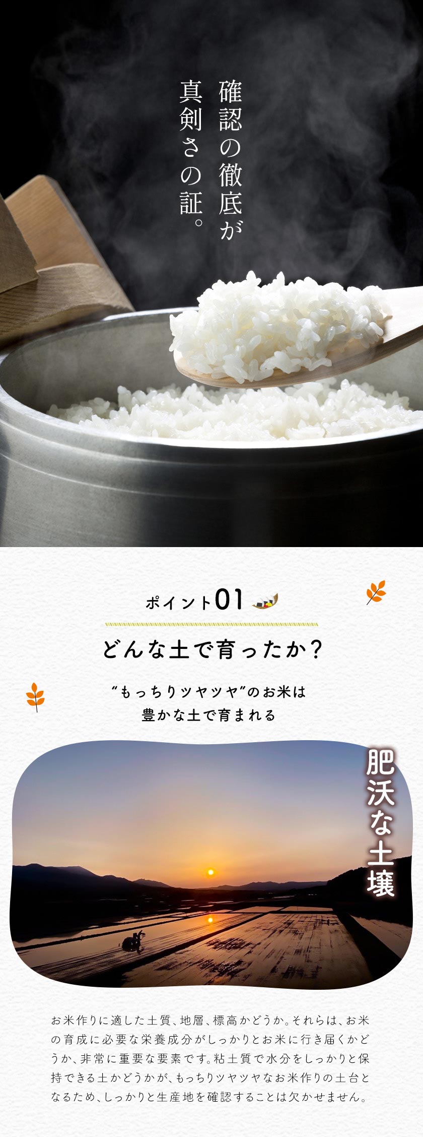 最安値に挑戦 ふるさと 無洗米 10kg 送料無料 国内産 精米 非常食 保存