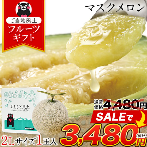 1000円OFFセール メロン 九州産 マスクメロン 秀品 2L 1玉 送料無料 約