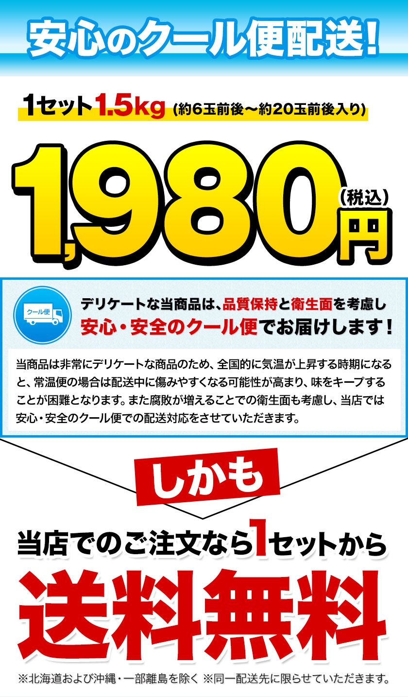 訳あり デコみかん デコポン と同品種 クール便 送料無料 家庭用