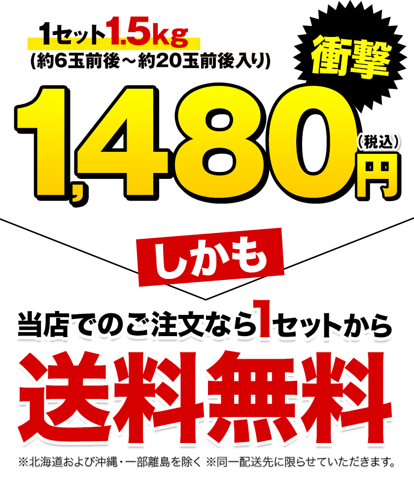 m773@値引き大歓迎⭐️1つからOK 楽天市場】熊本 みかん 訳あり 2セット以上で送料無料 3セット以上で