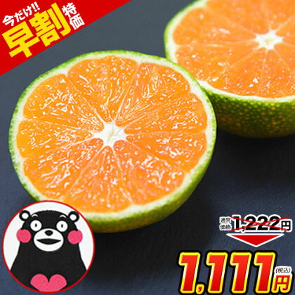 予約解禁☆今だけ早割1111円 小玉 みかん 送料無料 訳あり 小粒 1.5kg