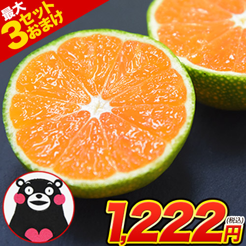 うのちゃんハウスみかん大玉約5Kg×3箱【訳あり】 超小玉『ハウスみかん』 佐賀県産 JAからつ 3〜4S 約5kg（目安