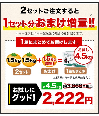 みかん 訳あり 小玉みかん 小玉 小粒 1.5kg 熊本県産 家庭用 箱