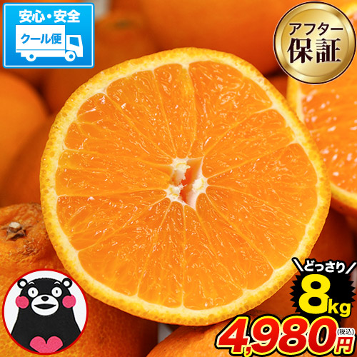 �󂠂� �f�R�݂��� 8kg �������� �f�R�|�� �Ɠ��i�� �s�m�� �݂��� �F�{���Y �N�[���� 10kg �ȉ� 5kg �ȏ� 1-5�c�Ɠ��ȓ��ɔ���(�y���j����)|