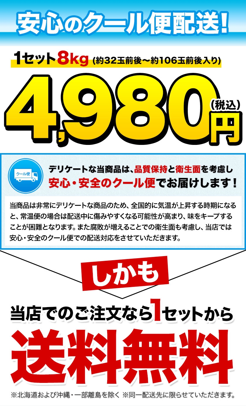 訳あり デコみかん 8kg 送料無料 デコポン...の詳細画像2