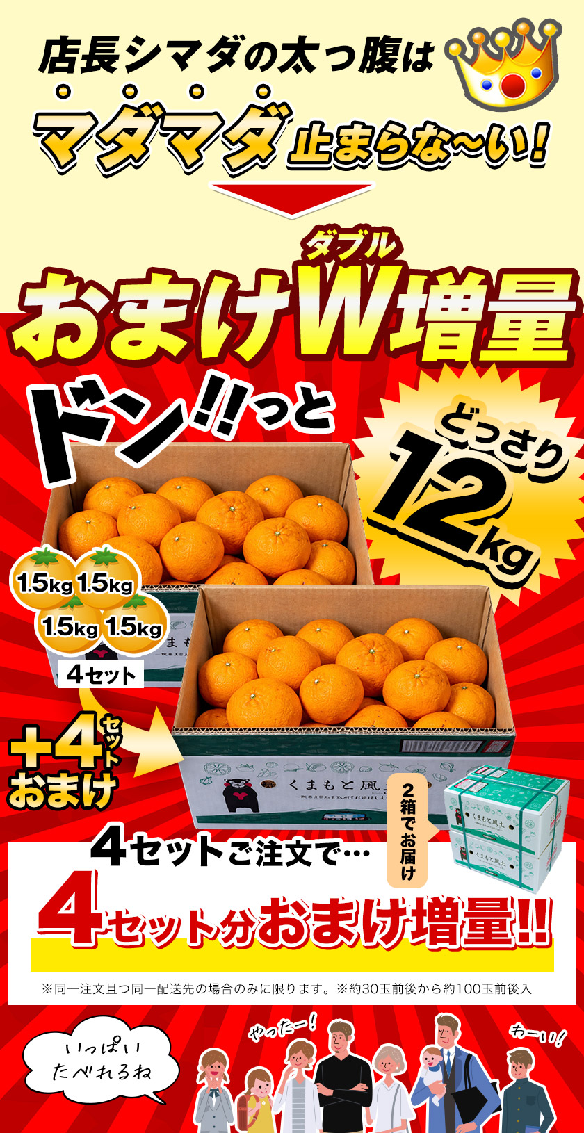 訳あり デコみかん デコポン と同品種 送料無料 家庭用 不知火 みかん