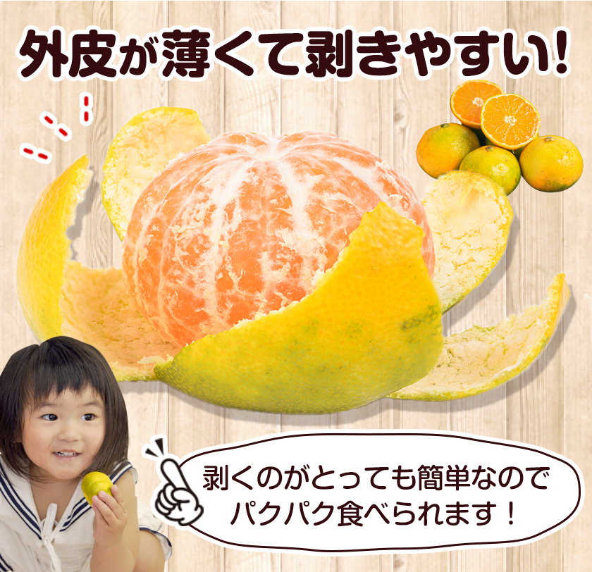 大容量8kg 小玉 みかん 送料無料 訳あり 小粒 箱込8kg 熊本 極早生
