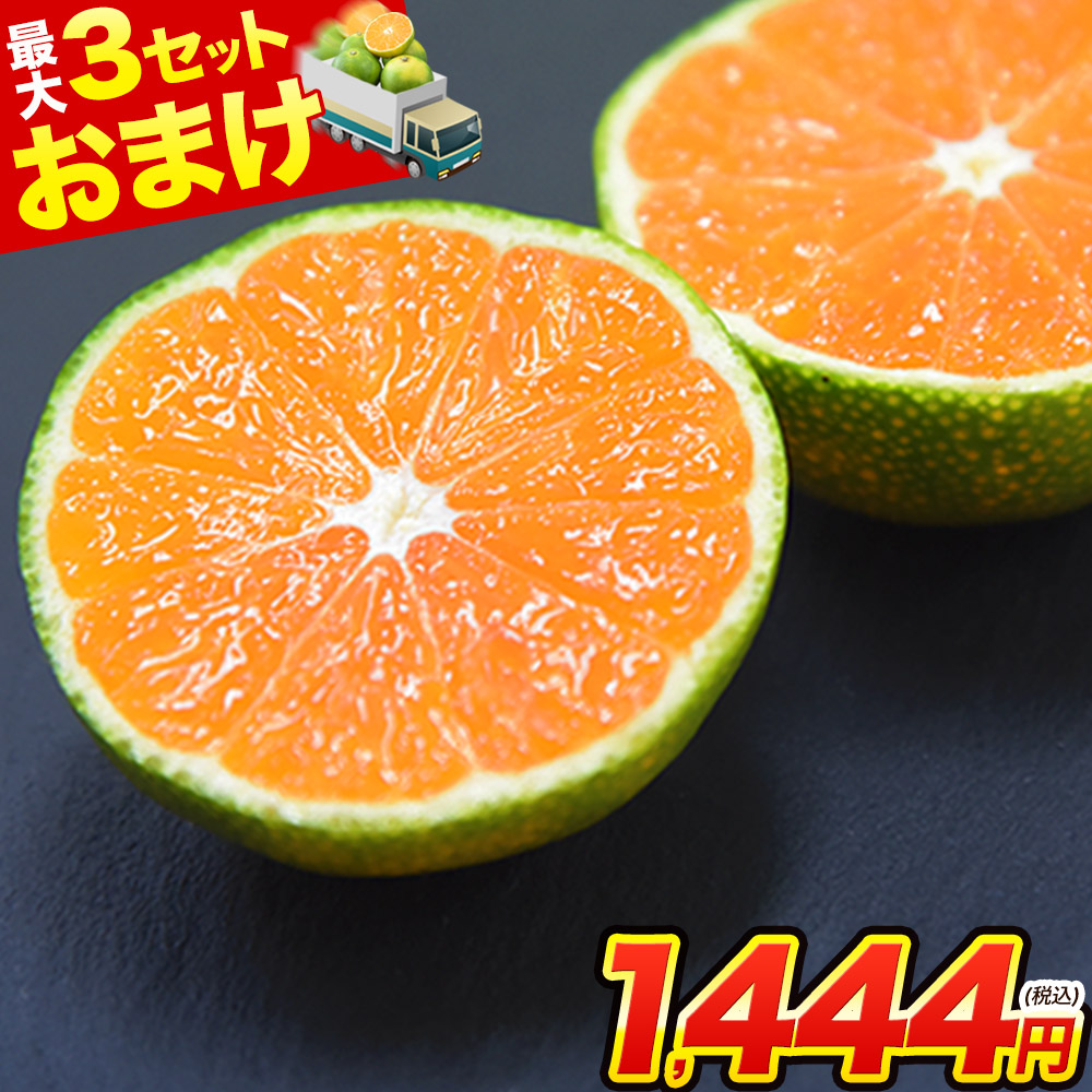 2セット以上でおまけ増量 小玉 みかん 送料無料 訳あり 小粒 1.5kg