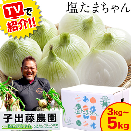 熊本県産 塩たまちゃん 玉ねぎ 選べる お届けサイズ 子出藤さん 送料