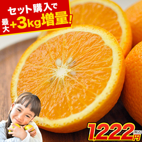 スイートスプリング 1.5kg 訳あり 熊本県産 送料無料 旬 みかん 爆買