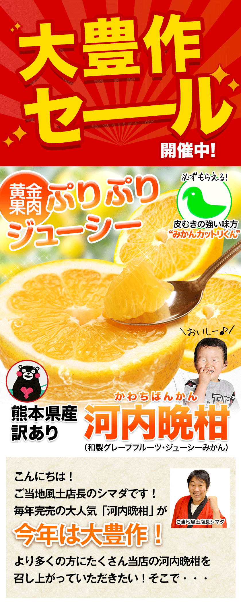 セールで2180円 大容量 8kg 河内晩柑 訳あり みかん 和製
