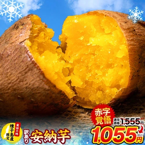 売り尽くしセール 500円OFF 訳あり 安納芋 種子島産 1.5kg
