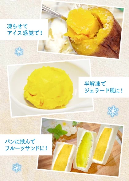安納芋苗500本セール 売り尽くしセール 500円OFF 訳あり 安納芋 種子島産 1.5kg