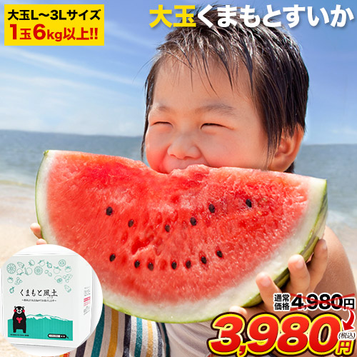 4日よりセールで1000円OFF すいか 熊本 大玉 スイカ 訳あり 送料無料 