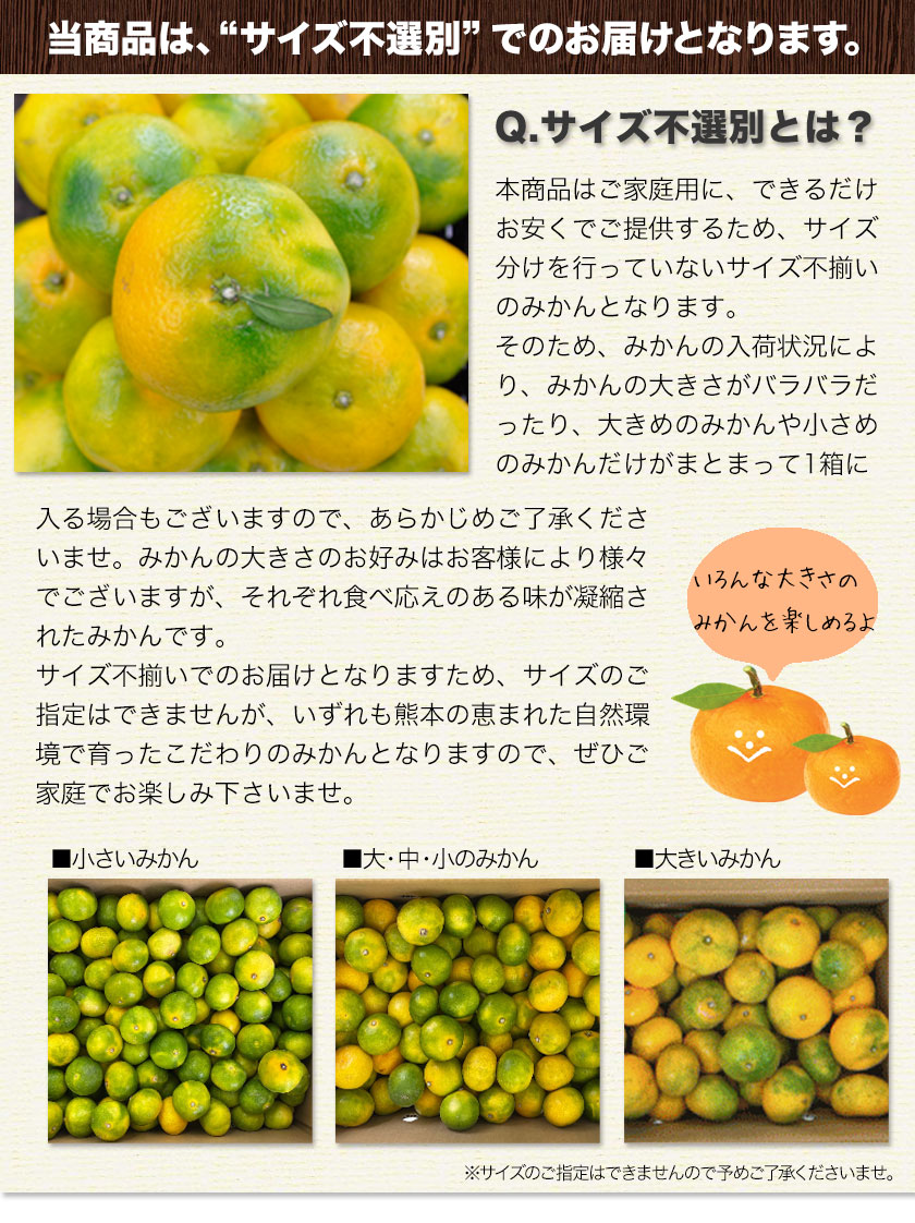 訳あり熊本みかん 1.5㎏ 送料無料 熊本 ミカン 果物 柑橘《10月中旬-11