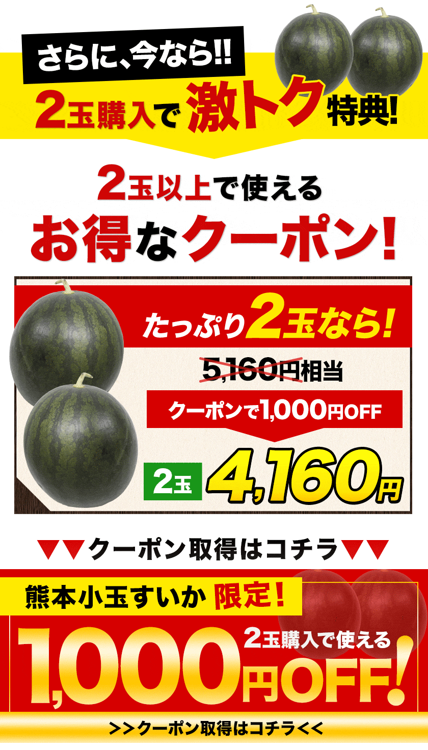 セールで700円OFF すいか スイカ 訳あり 小玉スイカ 熊本県産 1玉 2L