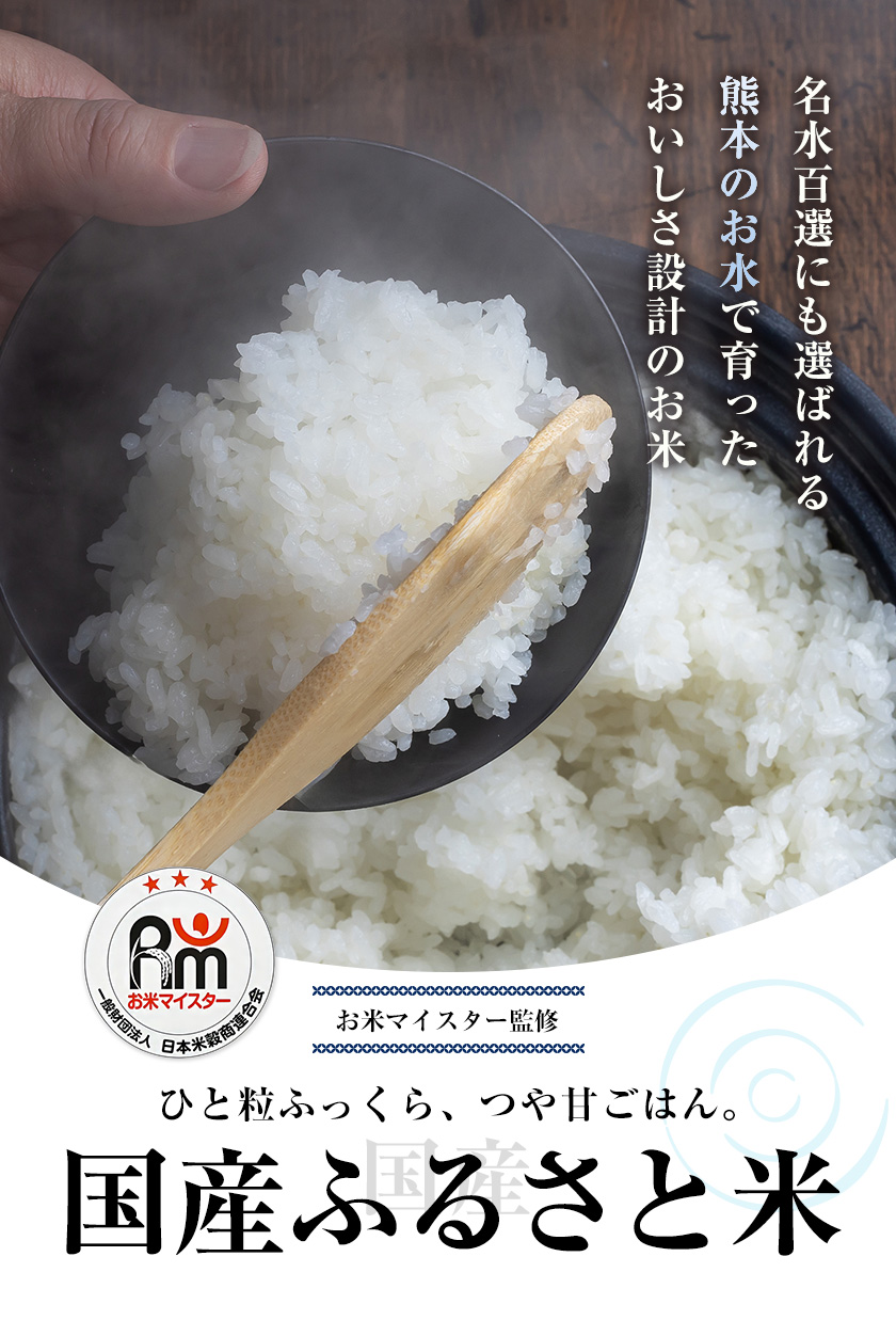 米 お米 10kg 送料無料 国産ふるさと米 白米 無洗米 雑穀米 国内産