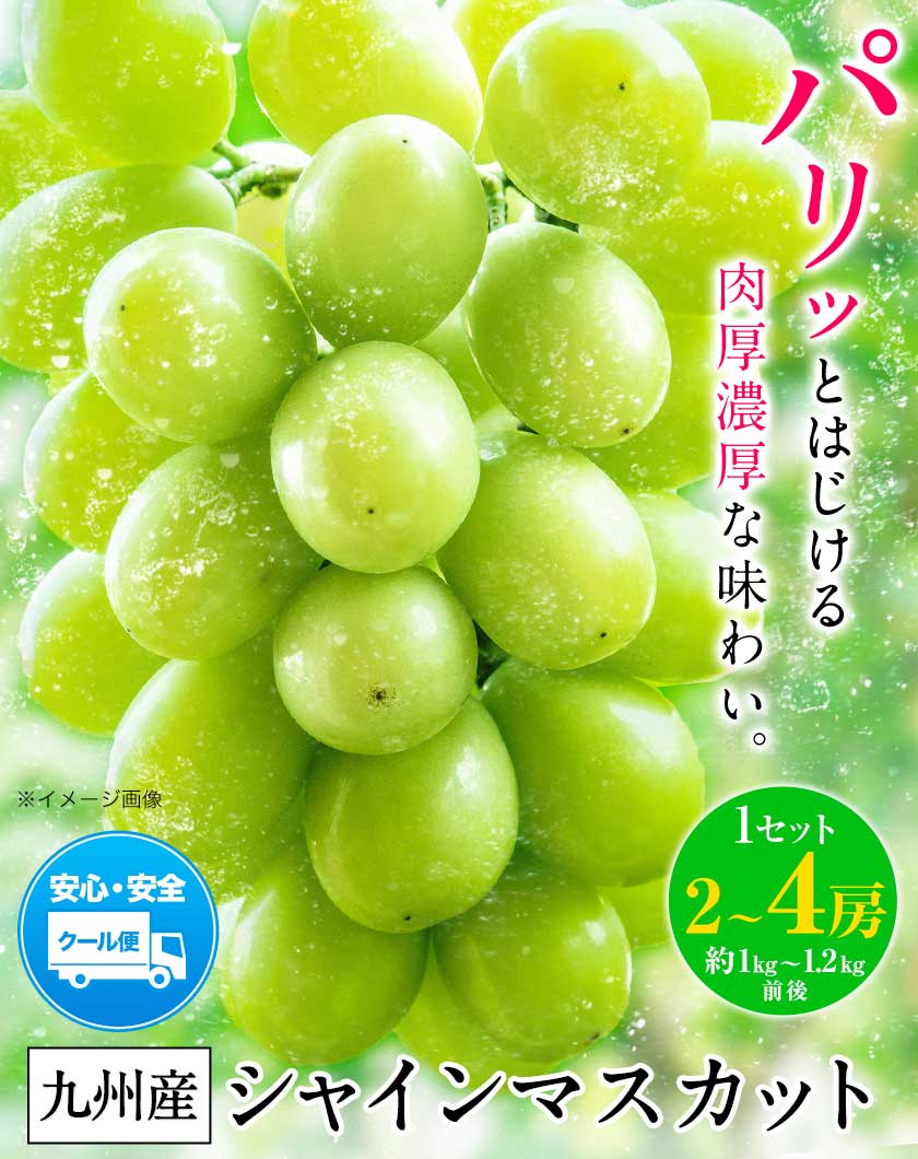 シャインマスカット 1kg-1.2kg前後 フ...の詳細画像1