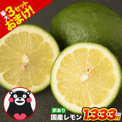 熊本産 レモン 訳あり 1.5kg 送料無料 防腐剤不使用 防カビ剤不使用