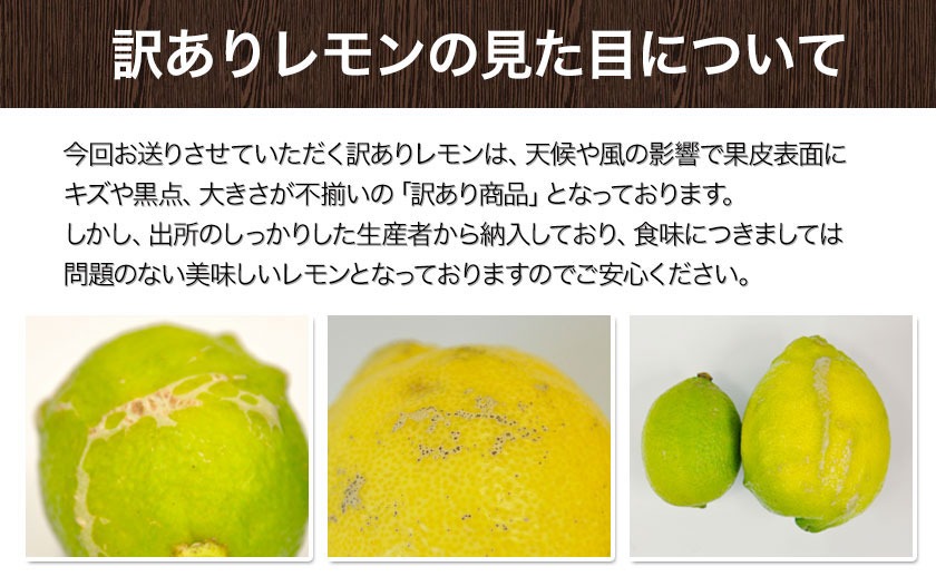国産 レモン 訳あり 1.5kg 送料無料 国産レモン 熊本県産 サイズ不選別