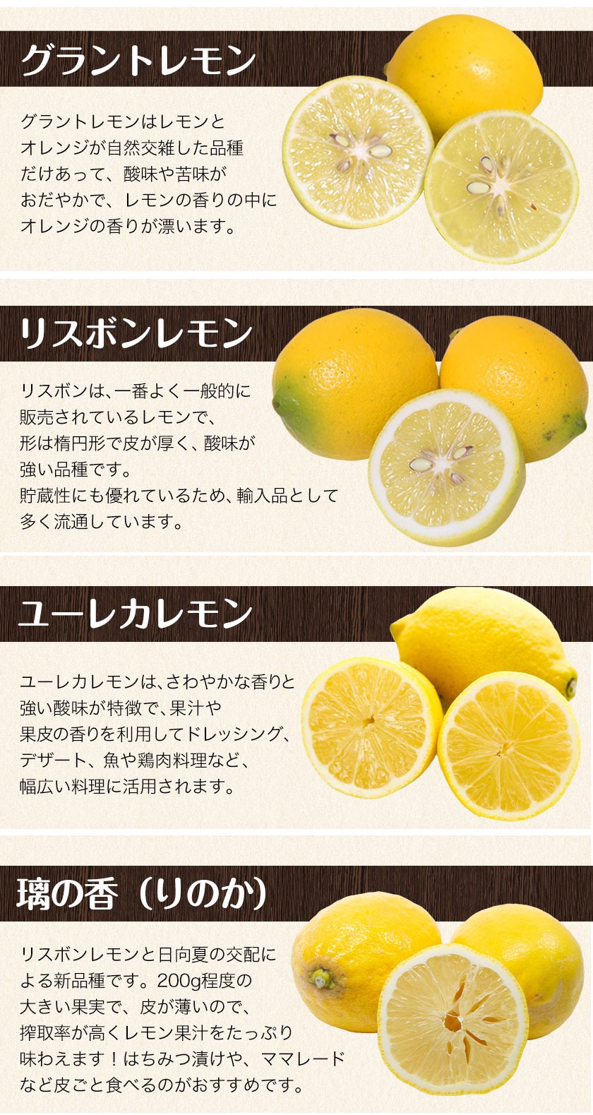 国産 レモン 訳あり 1.5kg 送料無料 国産レモン 熊本県産 サイズ不選別