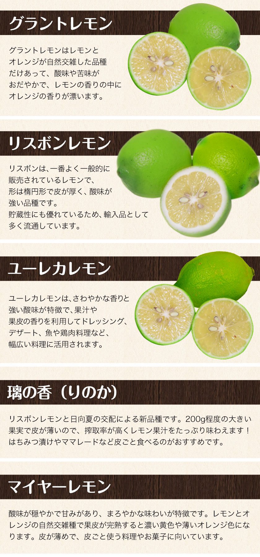 熊本産 レモン 訳あり 1.5kg 送料無料 防腐剤不使用 防カビ剤不使用