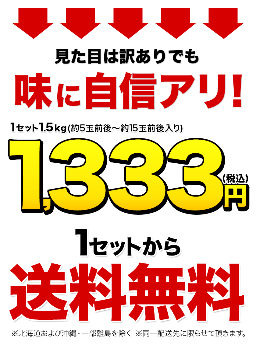 熊本産 レモン 訳あり 1.5kg 送料無料 ...の詳細画像2
