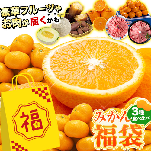 福袋 2026 みかん 送料無料 高級フルーツ 黒毛和牛 が 当たる かも