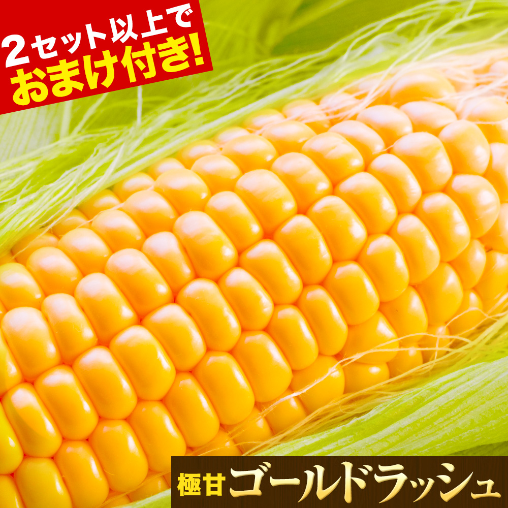ゴールドラッシュ 名寄市 6本 朝採り フルーツコーン 送料無料