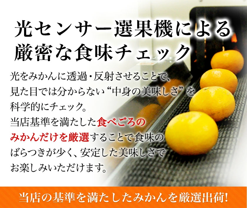 産地直送 プレミアム 熊本みかん 2kg 不選別サイズ SML 光センサー選果