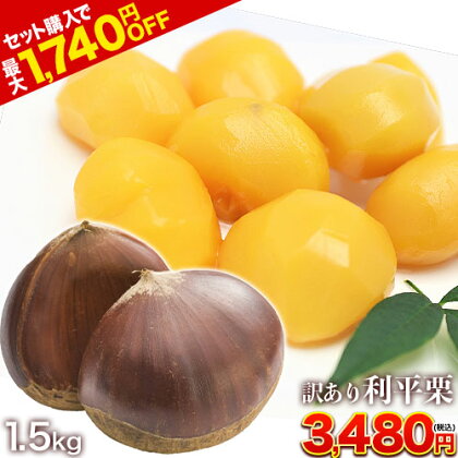 I F{Y 󂠂 I 1.5kg  2L-LTCY H̖o I a  ނ₷ 9{`10{\