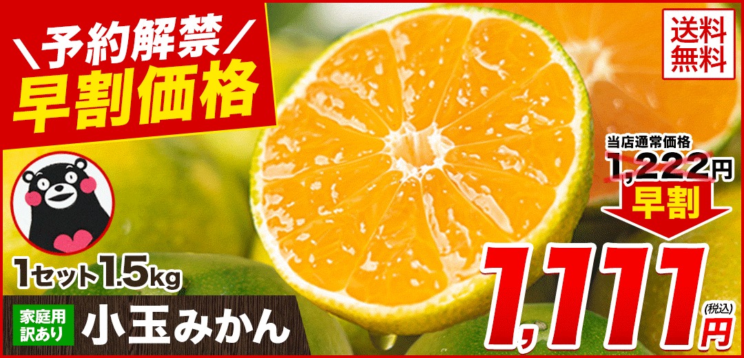 冷凍 デコみかん みかんさま 皮むき 送料無料 1kg 500g×2 デコポン と