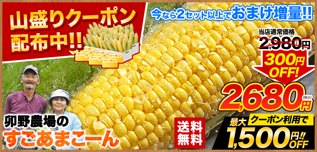 さつまいも 紅はるか 訳あり べにはるか 1.5kg 送料無料 芋 熊本産