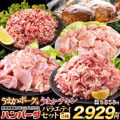 Yahoo! Yahoo!ショッピング(ヤフー ショッピング)お肉 5種 バラエティセット 肉 豚肉 鶏肉 ハンバーグ 大容量 1520g  福袋 切り落とし 国産 1-5営業日以内に発送予定（土日祝除く） |