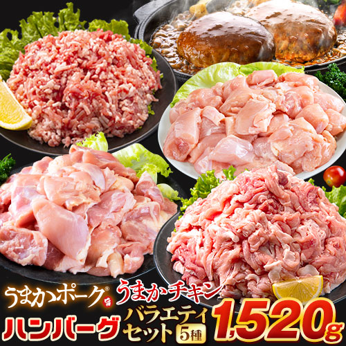 Yahoo! Yahoo!ショッピング(ヤフー ショッピング)お肉 5種 バラエティセット 肉 豚肉 鶏肉 ハンバーグ 大容量 1520g  福袋 切り落とし 国産 1-5営業日以内に発送予定（土日祝除く） |