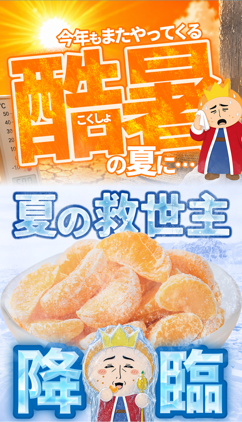 セール 冷凍 デコみかん みかんさま 皮むき 送料無料 1kg 500g×2