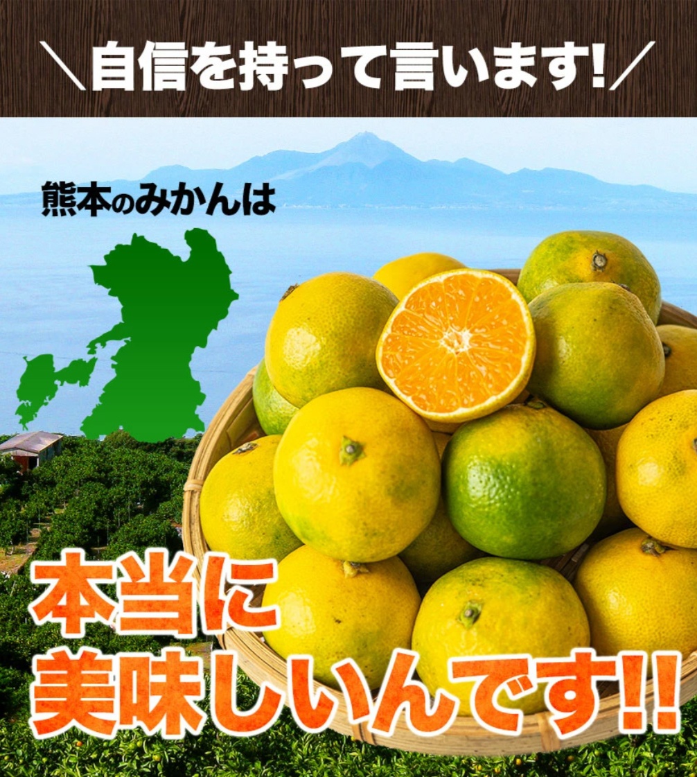 クーポンで10%OFF 大容量8kg みかん 送料無料 訳あり てんこ盛り 箱込8kg 小粒 熊本 極早生 柑橘 訳アリ 蜜柑 10月中旬-11月中旬に発送予定 | |  | 04